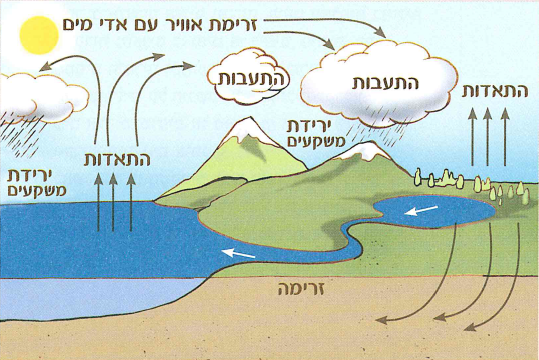 (בספר שתי תמונות, היעזר במנחה)